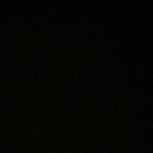 Meet your Posher, Heidi